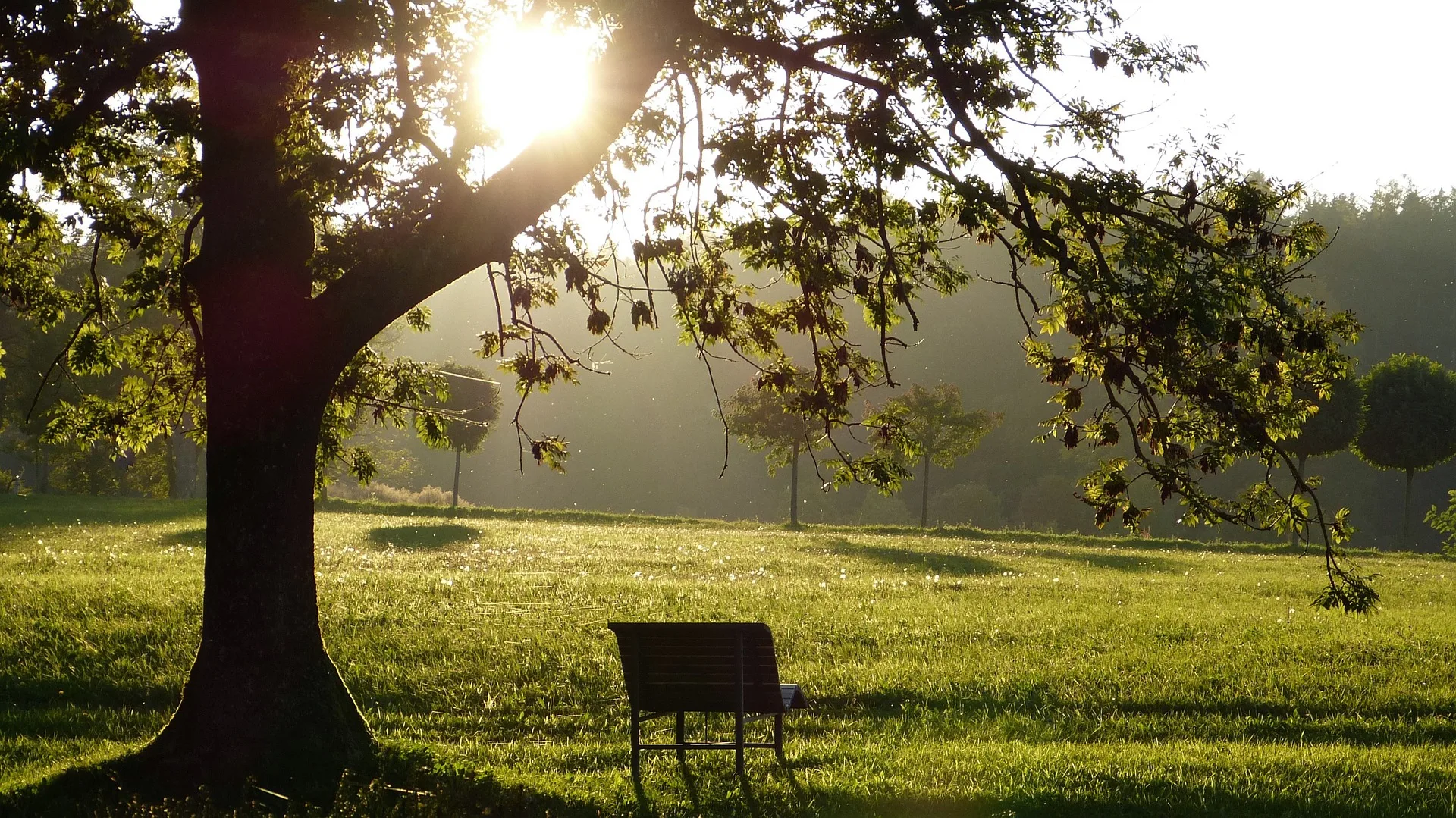 Thérapeute Jura Neuchâtel, retrouvez les meilleurs thérapeutes de la région